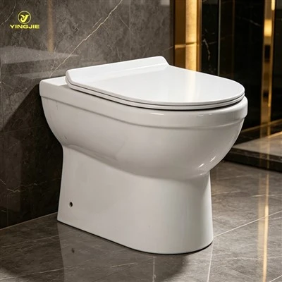 Modern Siphonic One Piece Toilet